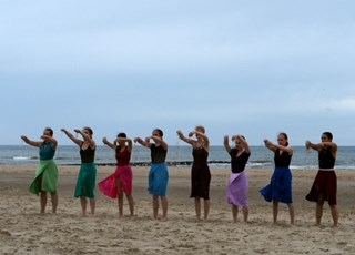 foto's pardans staand op het strand